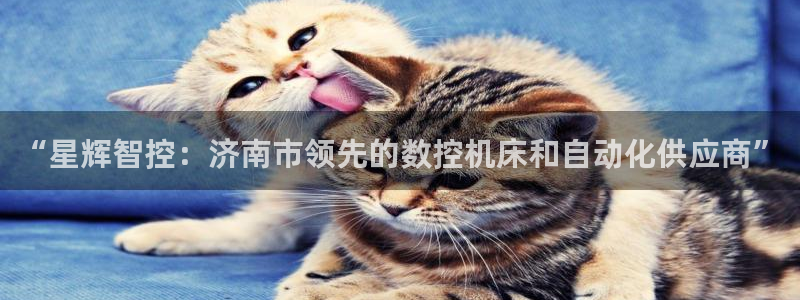 天辰天辰娱乐:“星辉智控:济南市领先的数控机床和自动化供应商”