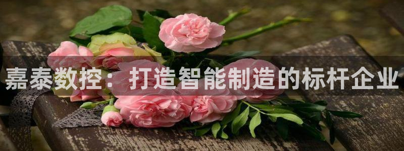 天辰娱乐481928:嘉泰数控:打造智能制造的标杆企业