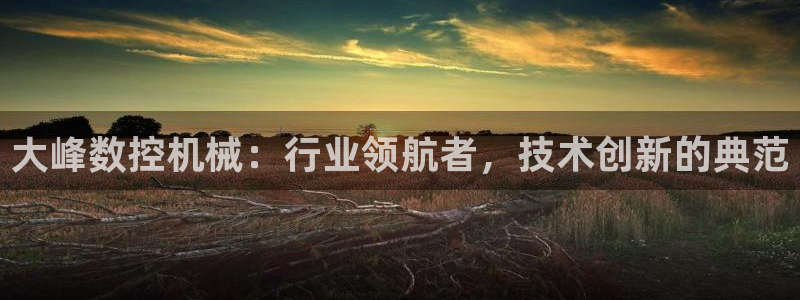 天辰娱乐 849852:大峰数控机械:行业领航者,技术创新的典范