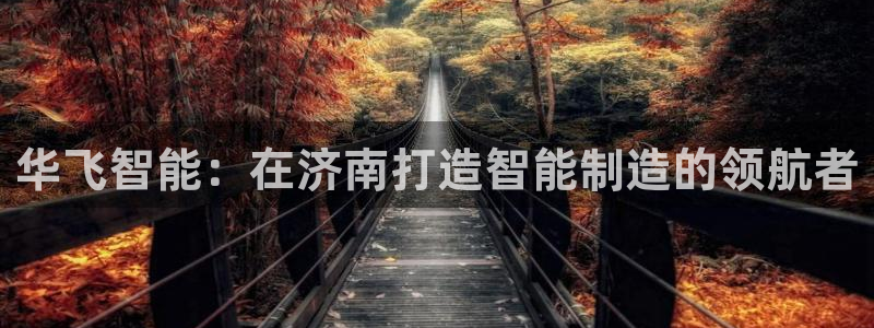 天辰娱乐元宝:华飞智能:在济南打造智能制造的领航者