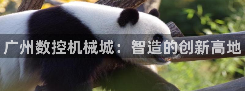 天辰娱乐网址娱乐游戏:广州数控机械城:智造的创新高地